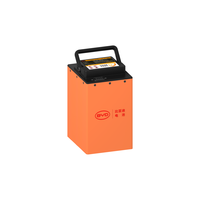  BYD/比亚迪 电动车锂电池