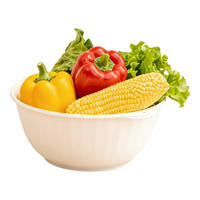  Citylong/禧天龙 双层盆筛 洗菜盆