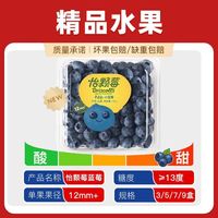 百亿补贴：怡颗莓 蓝莓云南小果单果12mm宝宝辅食水果盒装125克 3盒