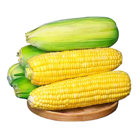  薏品甄鲜 产地直发 水果玉米