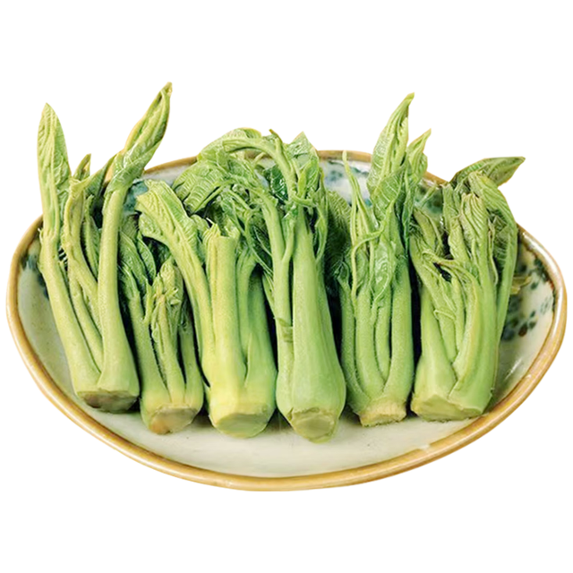 千秋椿 头茬新鲜腌制 香椿芽咸菜