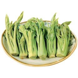 千秋椿 头茬新鲜腌制 香椿芽咸菜
