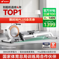 麦瑞克 Q1 磁阻划船机 MRSRM53163 白色 金属 专业款