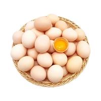 晋龙食品 无抗无激素 鸡蛋