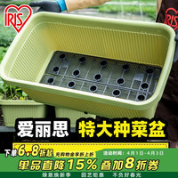 爱丽思 阳台菜盆家庭蔬菜种菜盆箱室内长条花盆塑料种植 深型700绿色