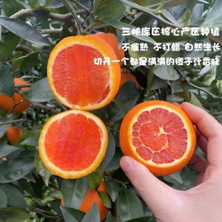  京觅 红肉饱满脆嫩 中华红橙 【中华红橙】4斤170g+