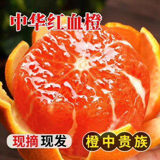  京觅 红肉饱满脆嫩 中华红橙 【中华红橙】4斤170g+
