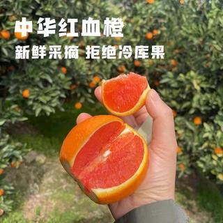  京觅 红肉饱满脆嫩 中华红橙 【中华红橙】4斤170g+