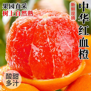  京觅 红肉饱满脆嫩 中华红橙 【中华红橙】4斤170g+