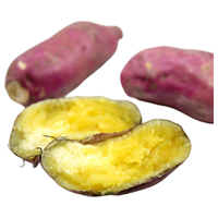  京觅 软糯香甜 桥头地瓜