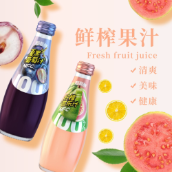 泰新鲜 非浓缩还原果汁 柠檬芭乐汁