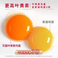  咯咯哒 灭菌 叶黄素金鸡蛋