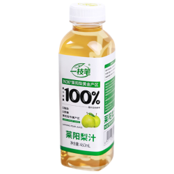 一枝笔 莱阳梨汁饮料100%梨汁果味饮料大瓶解渴果汁饮品460ml*15瓶
