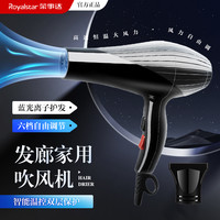 荣事达 家用吹风机蓝光离子水润护发发廊专用多档电吹风