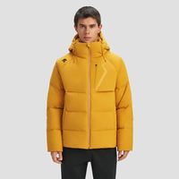 迪桑特 TRAINING系列综训训练运动健身男士羽绒服