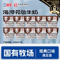 海河乳业 海河巧克力牛奶220ml*10袋整箱牛角包儿童学生早餐奶新鲜乳品饮料