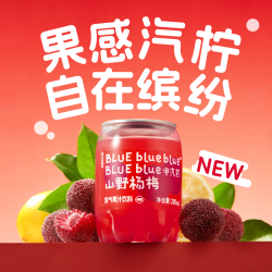 Lemon Republic 山野杨梅低糖低卡轻负担气泡饮料 200ml*8罐