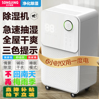 松井电器 松井除湿机抽湿机器家用压缩机静轻音卧室卫生间小型 SJ-125E 24L/天 SJ-125E-