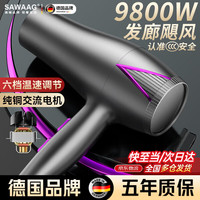 飒望 吹风机家用理发店专用大功率发廊电吹风筒负离子宿舍蓝光不伤发24万转速+19秒速干护发 尊享灰