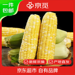 京觅 云南水果玉米 8斤装单果280g+