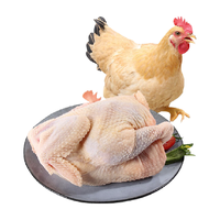  天农 农家谷物散养 清远走地鸡