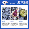  静羽 高山甜水果 蓝莓