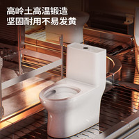 移动端、京东百亿补贴：九牧 马桶家用暴风大冲力抗菌釉面一键快拆盖板除臭抗菌坐便器 大冲力节水马桶-11370 305坑距