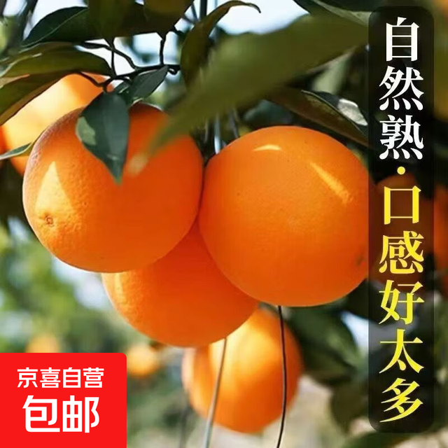 秭归脐橙带箱2斤60-65mm