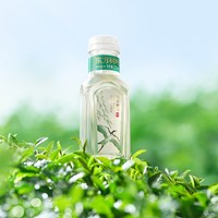  NONGFU SPRING/农夫山泉 限量抢购 龙井新茶 东方树叶龙井新茶335ml*15瓶