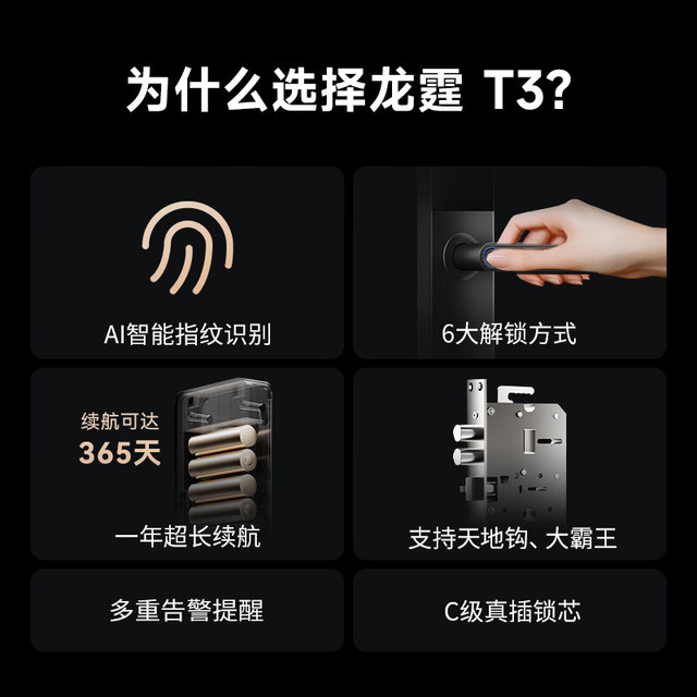PLUS会员：龙霆 智能门锁电子锁指纹锁密码锁执手款防盗把手门锁T3