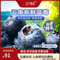 东方甄选 云南蓝莓清甜细腻多汁生鲜坏果包赔顺丰 单果15mm+ 约60-70颗/盒 125g/盒