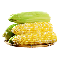  京觅 源头直发 水果玉米
