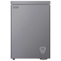  Ronshen/容声 一级能效 家用冰柜 100L 减霜速冻 灰色