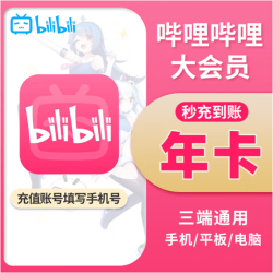 哔哩哔哩影视会员_bilibili 会员B站大VIP会员1年卡多少钱-什么值得买