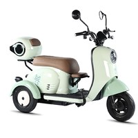  奥斯佳人 家用小型 电动三轮车