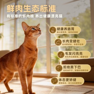 麦富迪 原生鲜肉 猫粮 200g