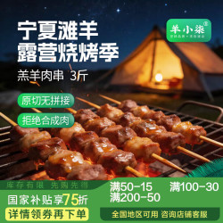 羊小柒 宁夏滩羊原切羊肉串 5斤