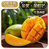 余悦 海南 金煌芒果 带箱5斤 精选装/单果约250g+/净4.5斤