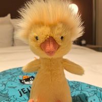 百亿补贴：邦尼兔 多瑞特小鸭 (均码 26cm 坐高23cm)