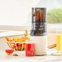 Hurom 原汁机榨汁机大口径有网家用渣汁分离料理机E30ST