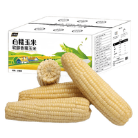 果园汇 东北白玉米棒 200g*10根 真空包装