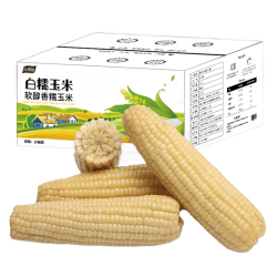 果园汇 东北白玉米棒 200g*10根 真空包装
