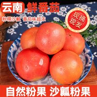  滇鲜生 自然成熟 西红柿