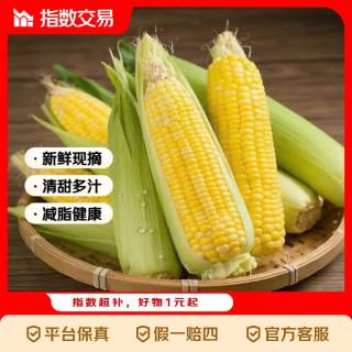 新鲜水果玉米 7-10根 五斤装