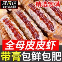 云储生活 鲜活冷冻 全母带膏带籽虾爬子