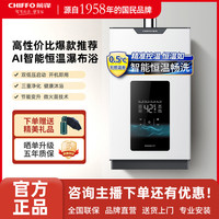 前锋 XD560强排式高性价比恒温变频瞬热节能燃气热水器