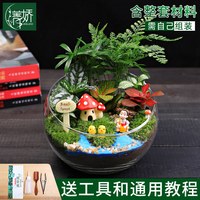 JINGJIAO/菁娇 创意 苔藓微景观套装