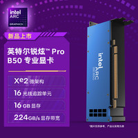英特尔 锐炫 Pro B50 显卡 16GB
