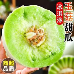 栀舒 山东冰淇淋玉菇甜瓜新鲜现摘应季水果 2份合发一箱包装随机 新鲜 玉菇甜瓜 活动款1.5斤装