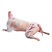 华禧顿内蒙羊肉生鲜 羊排新鲜羊腿肉羊蝎子火锅烧烤食材半只羊礼盒  宁夏滩羊丨（整只羊）礼盒*【15-17斤】